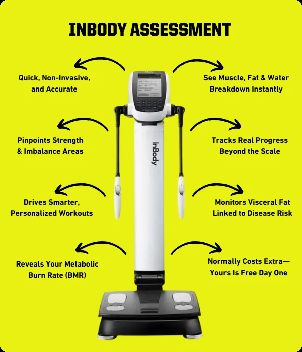 InBody assessment: what the body composition scan measures